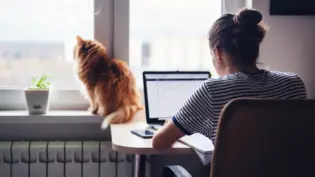 a woman working next to her cat in her home office