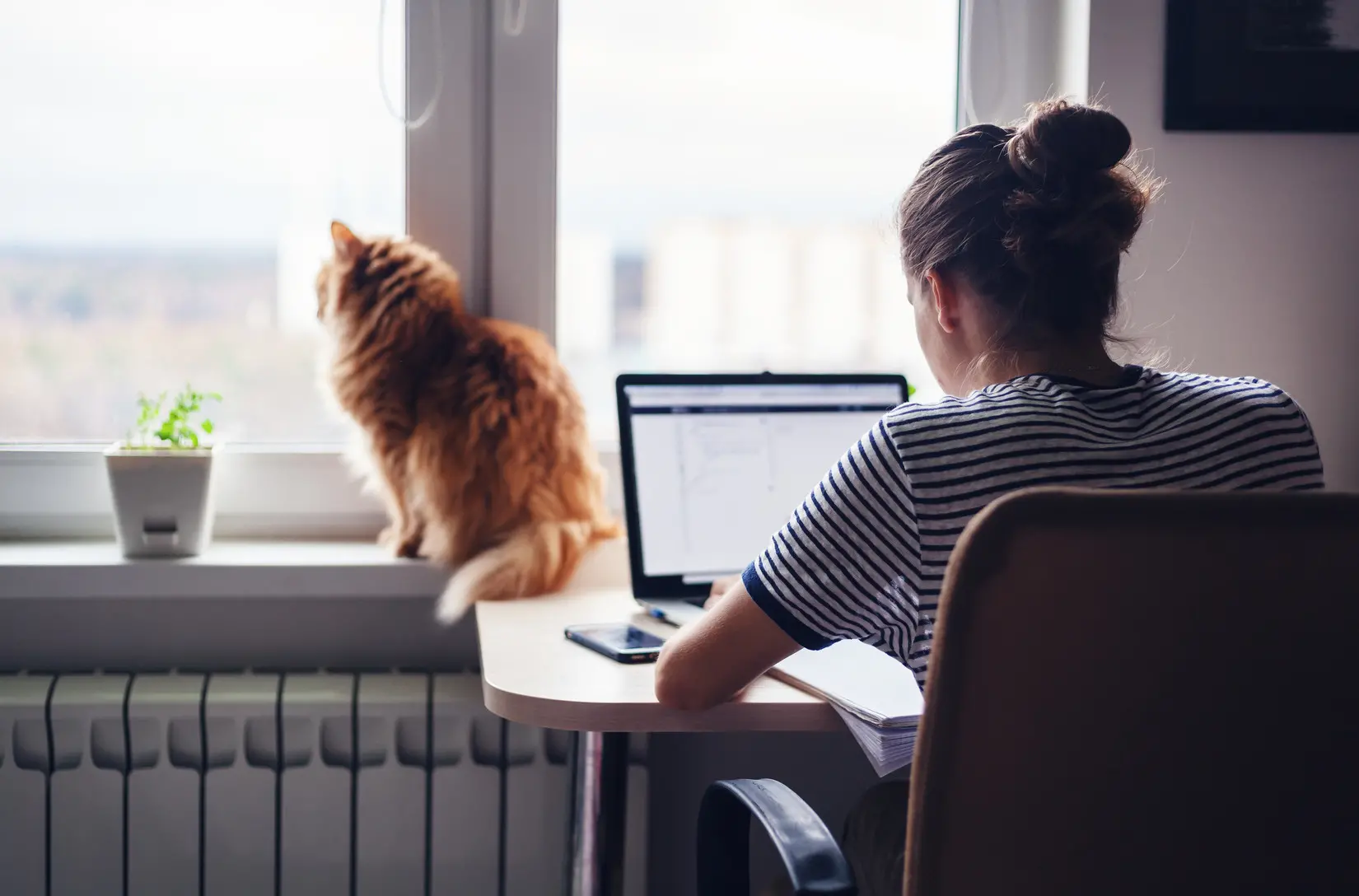 a woman working next to her cat in her home office