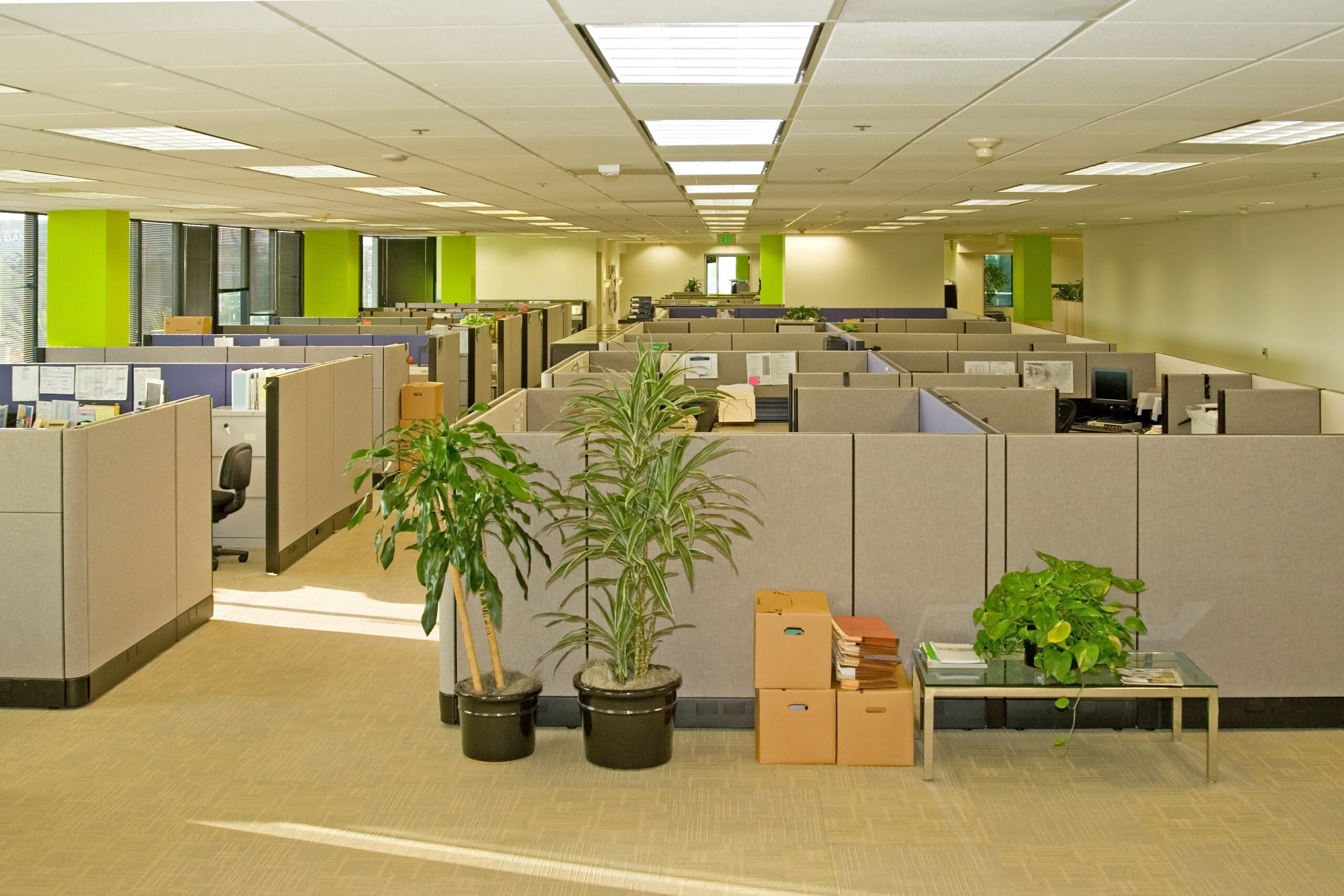 Corporate office settings showing desks, cubicles, files, and conference space